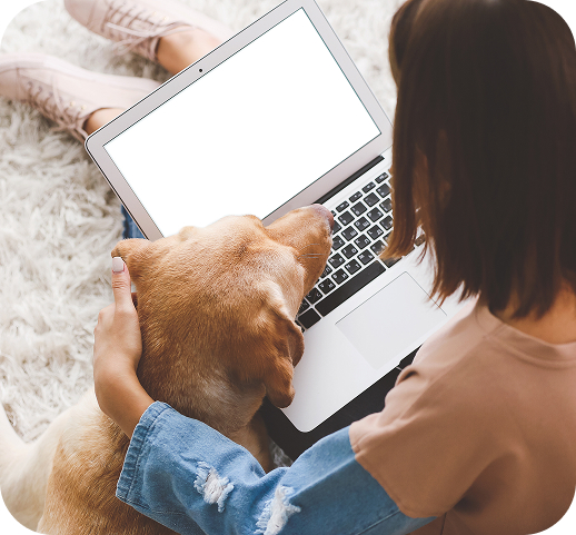 愛犬と一緒にノートパソコンに向かう飼い主様