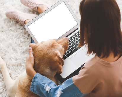 ノートパソコンに向かう飼い主様と寄り添う犬