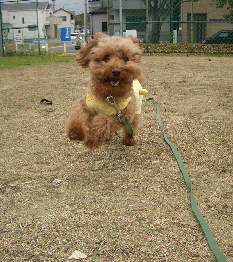 優芽ちゃん