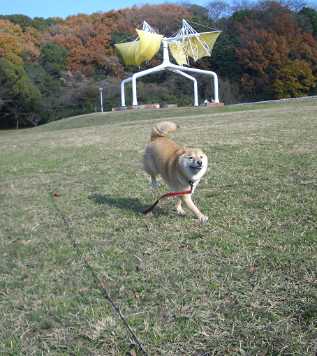 リュウくん
