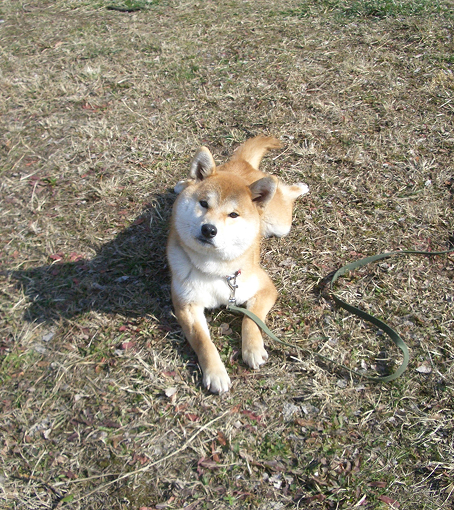 大地くん