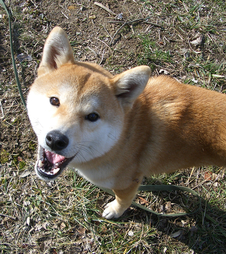 大地くん