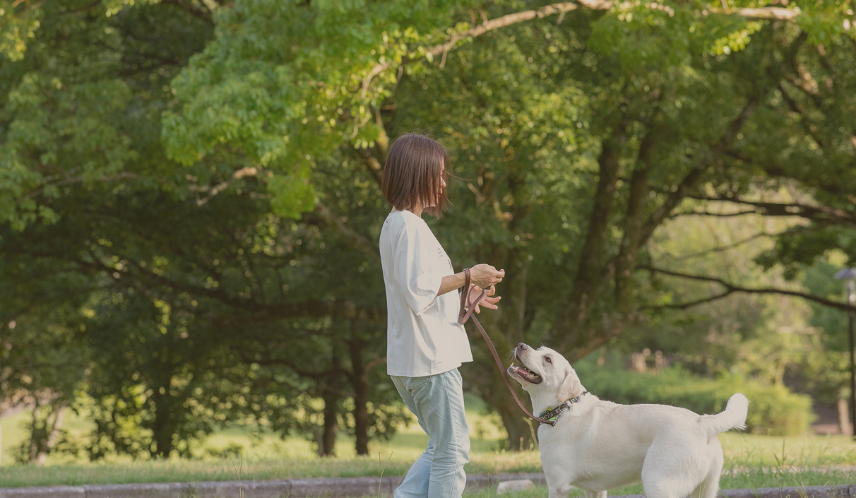 公園で愛犬と向き合うドッグトレーナー