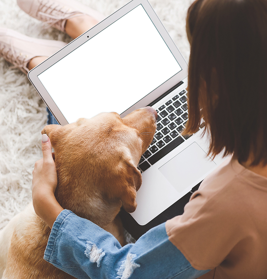 愛犬だけでなく 飼い主様自身の心も整える