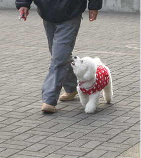 アイちゃん