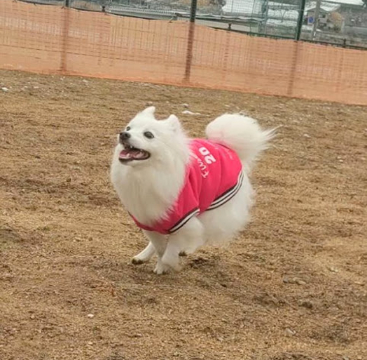 森井まろちゃん (仮名)